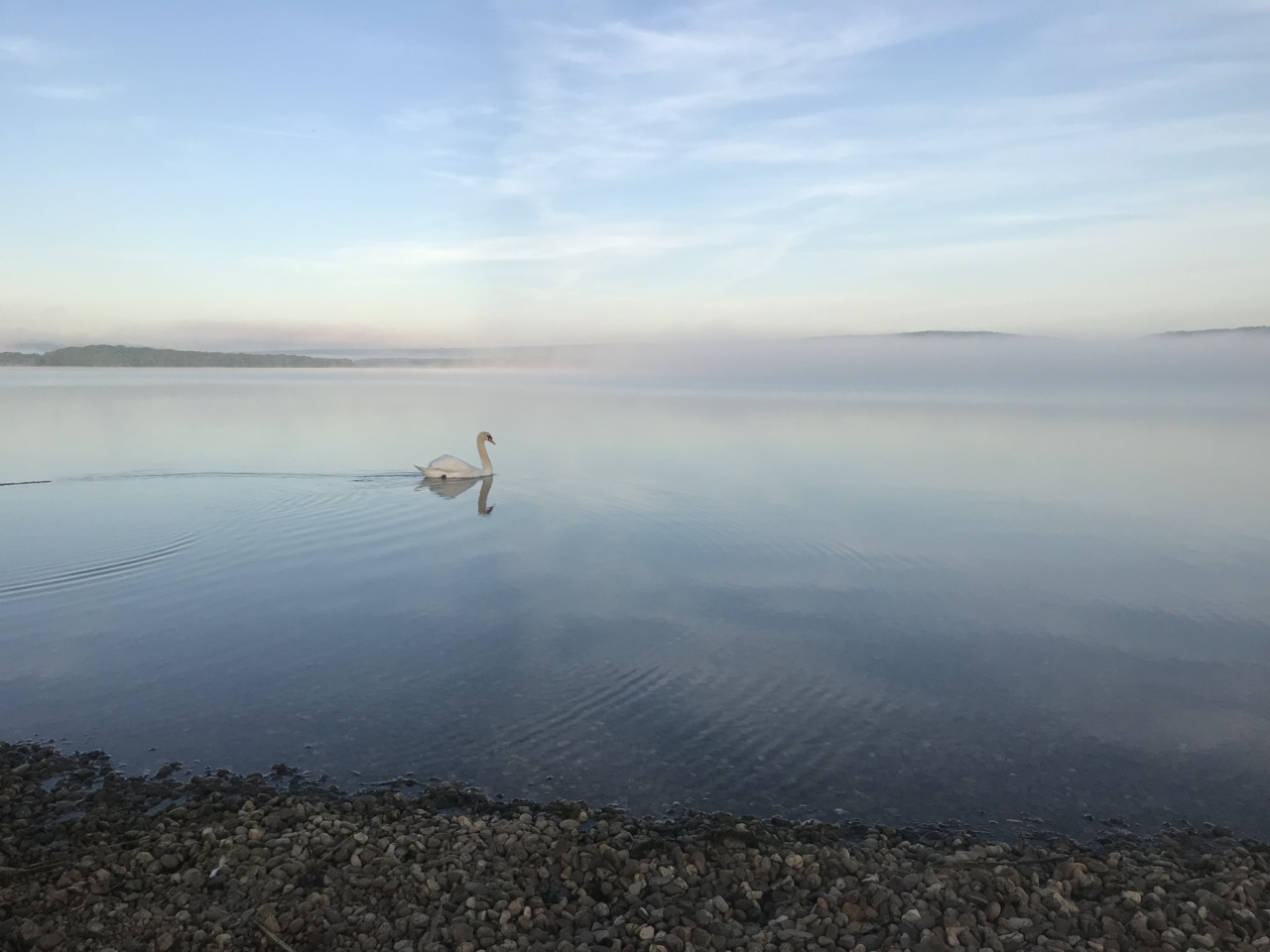 Lac de Madine au matin